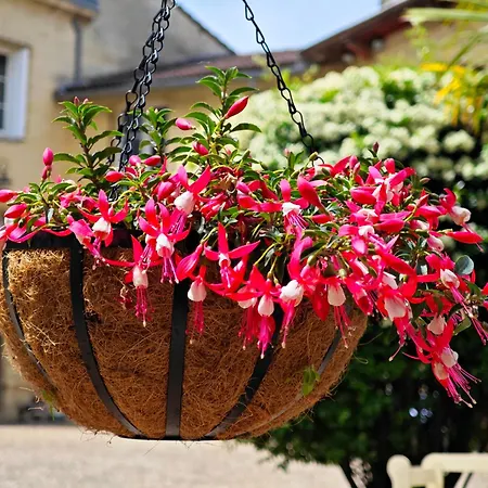 فندق مبيت وإفطار Chateau La Croix De Millorit