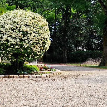 Chateau La Croix De Millorit فندق مبيت وإفطار Bayon-Sur-Gironde